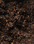 Body Scrub Coffee + Mint