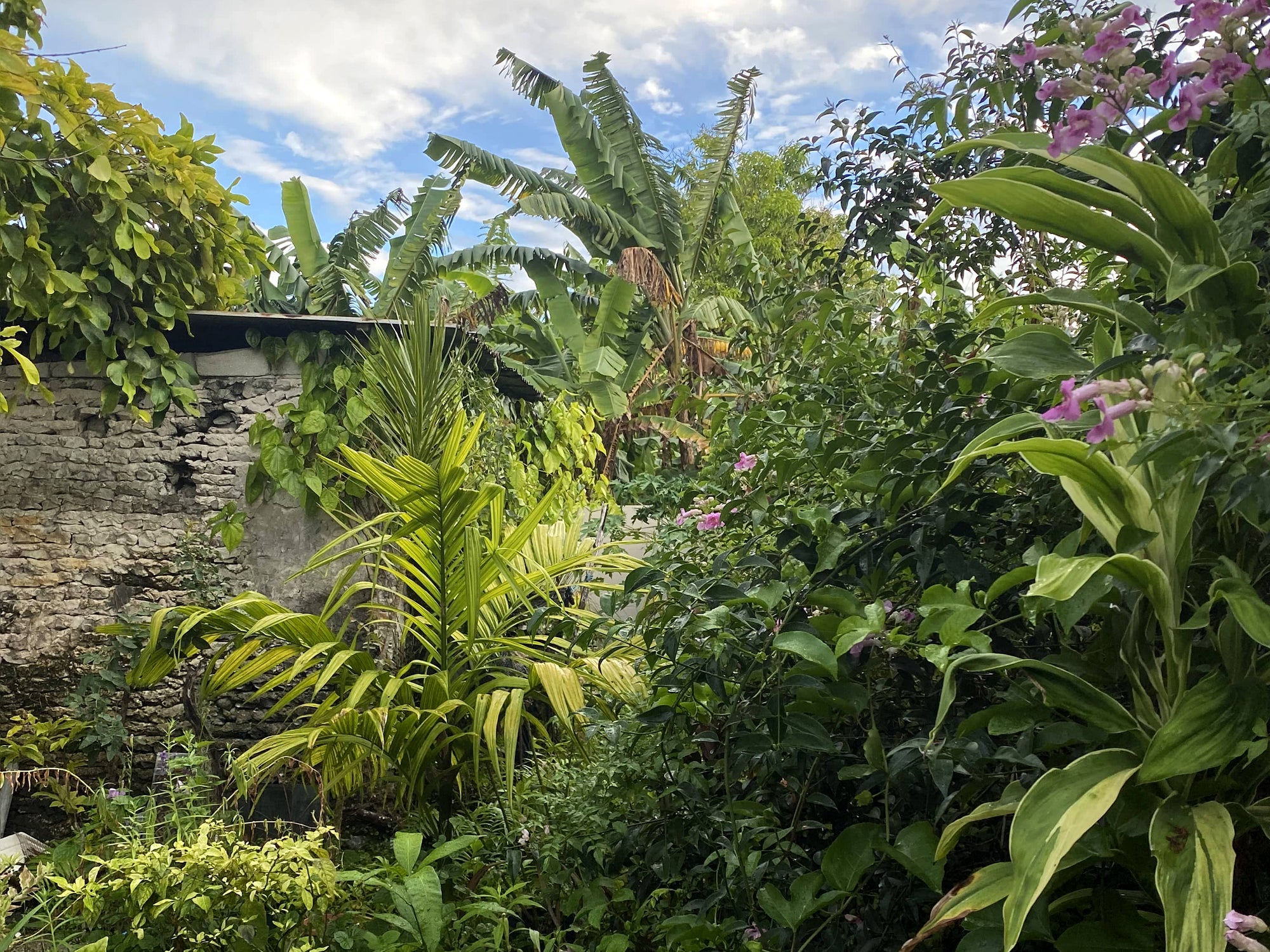 Alcove Gardens